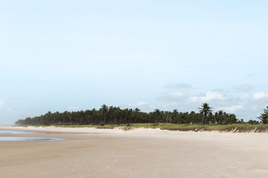 Sao Miguel dos Milagres (AL)