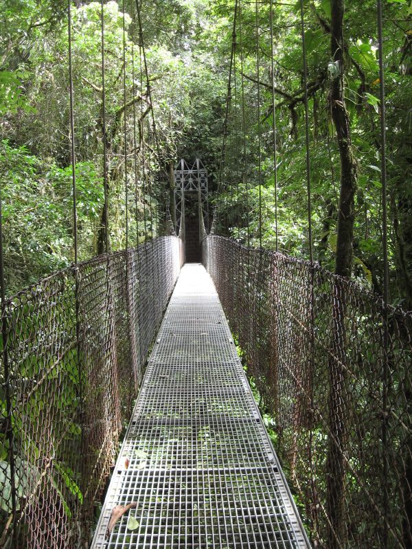 Ponte suspensa sobre a floresta de Arenal