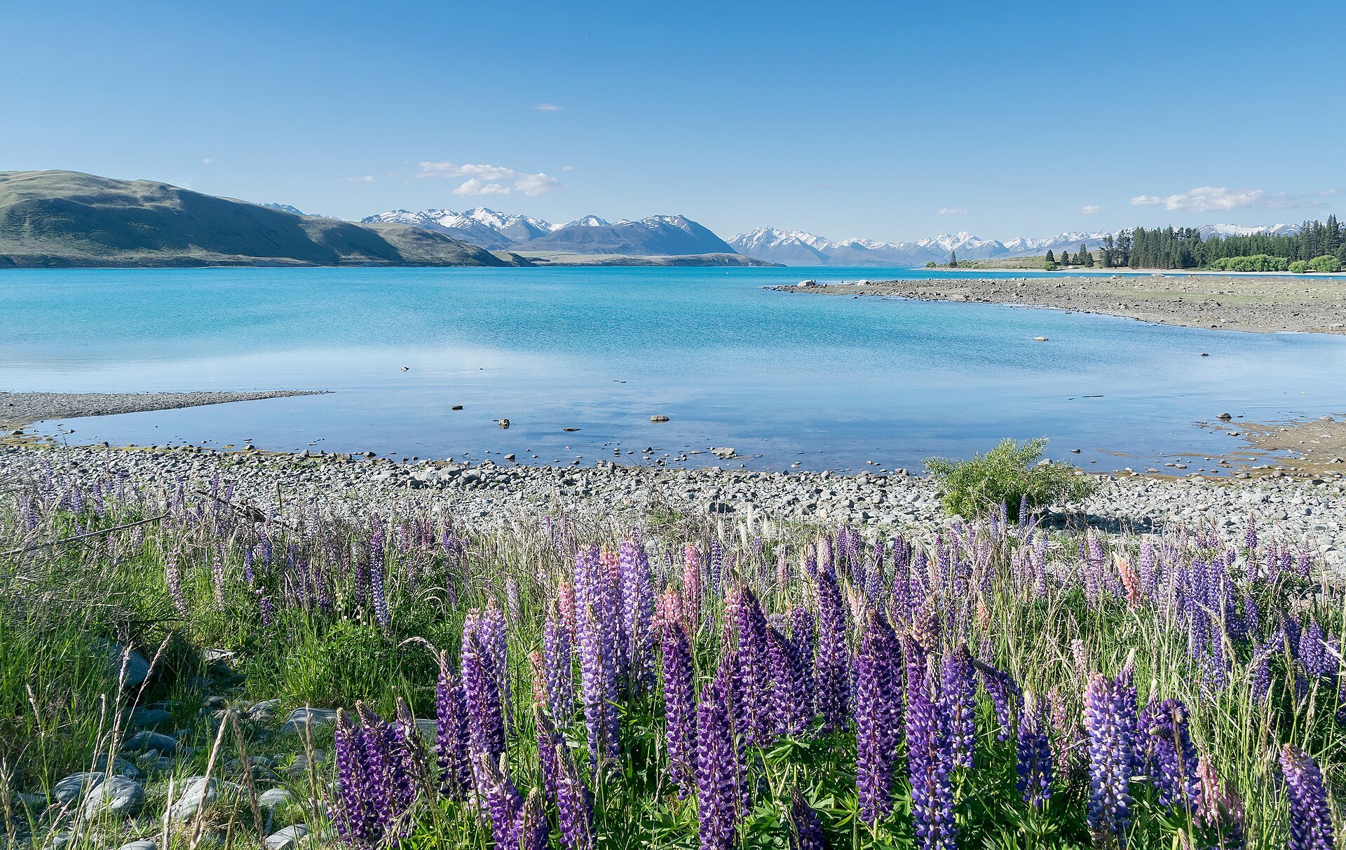 Lake Tekapo e montanhas