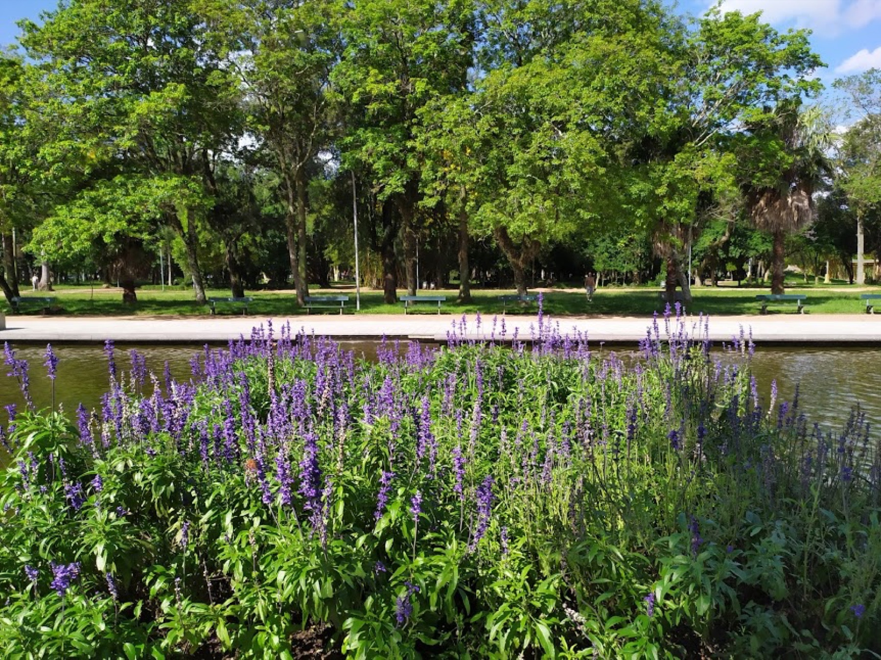 Parque Farroupilha, a Redenção, em Porto Alegre